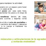 Recomendaciones para un teletrabajo saludable