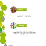 Reto Centro Ocupacional Down Madrid