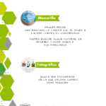 Retos Centro Ocupacional Coronavirus