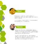 Retos Centro Ocupacional Coronavirus