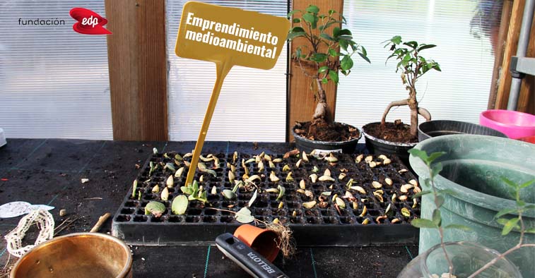 Emprendimiento medioambiental centro 3 Olivos 