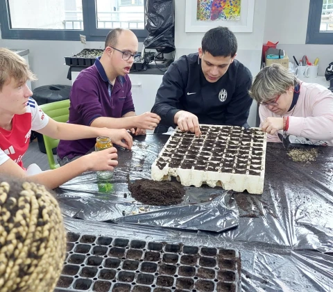 centro-ocupacional-discapacidad-intelectual-down-madrid