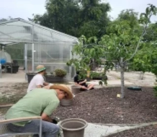 taller-jardinería-down-madrid